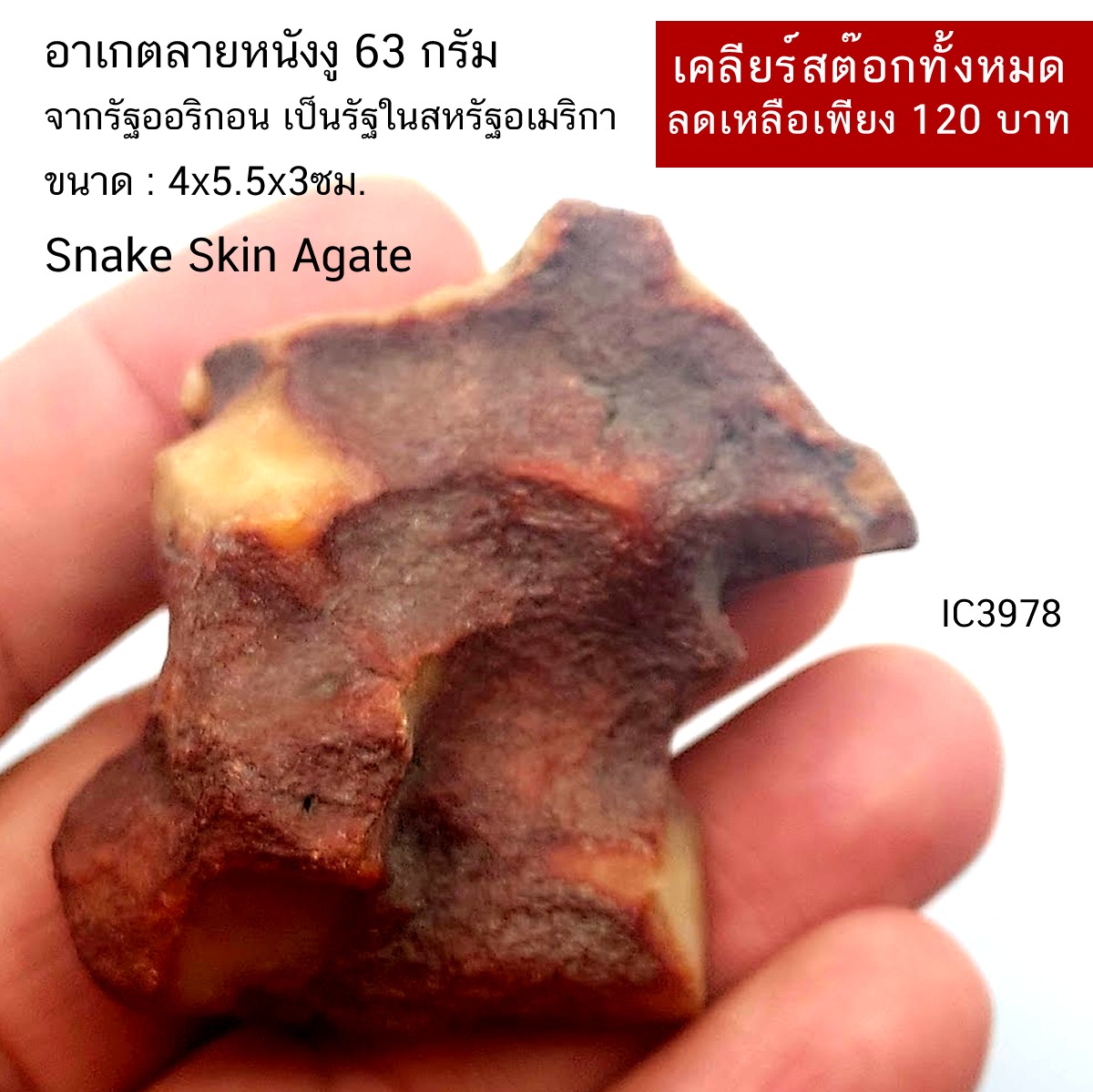 อาเกตลายหนังงู Snake Skin Agate (63กรัม)
