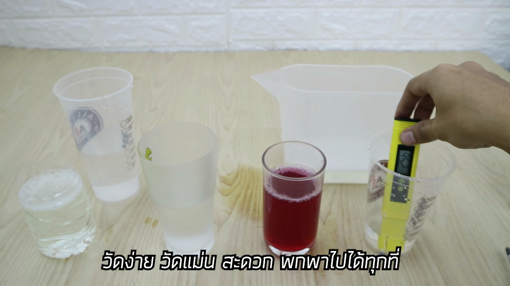 pHMETER เครื่องวัดความเป็นกรด-ด่าง