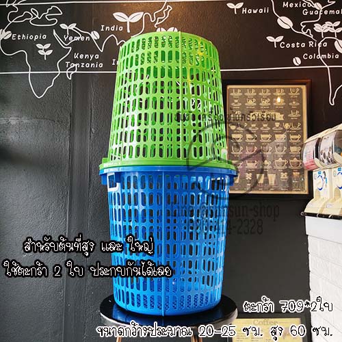 ตะกร้าใส่ต้นไม้