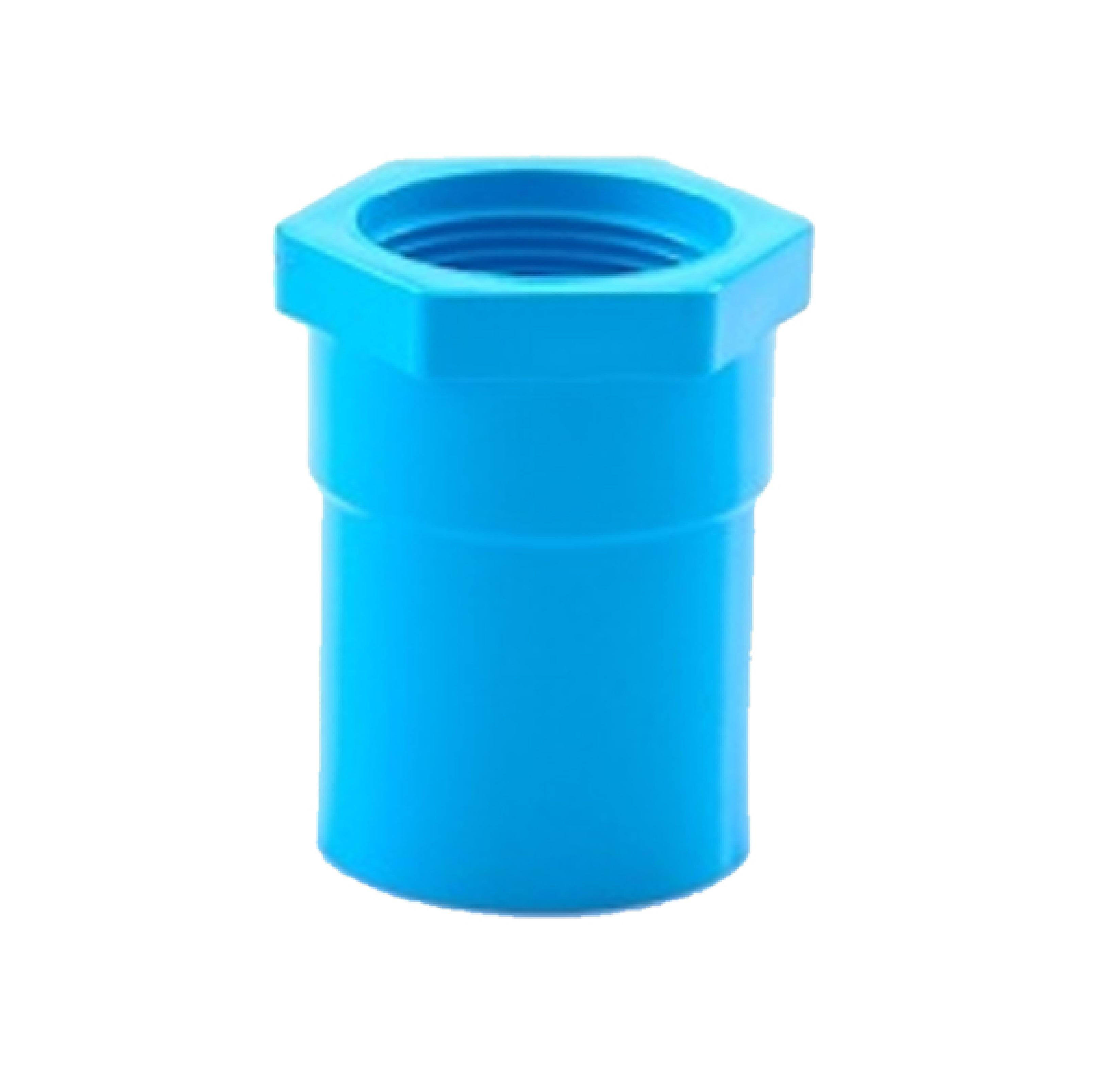 ข้อต่อตรงเกลียวใน-หนา ฟ้า FAUCET SOCKET-WS B
