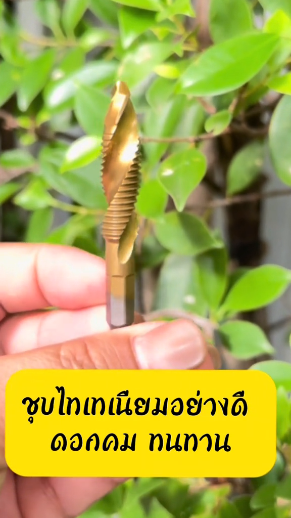 ชุดดอกสว่านต๊าปเกลียว HSS ( สีทอง ) ขนาด 6 ตัวชุด