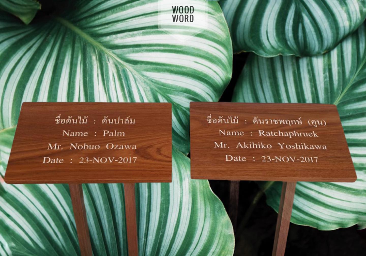 ป้ายชื่อต้นไม้ 2 ขาตั้ง