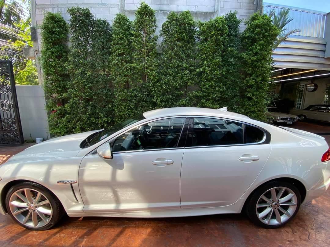 Jaguar xf 2.2 diesel turbo ปี 2014