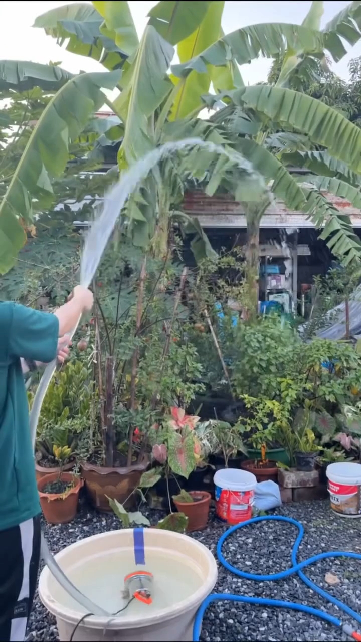 ปั้มไดโว่ ยี่ห้อ Onsen 12V 24V แถมตัวคีบแบต 1คู่