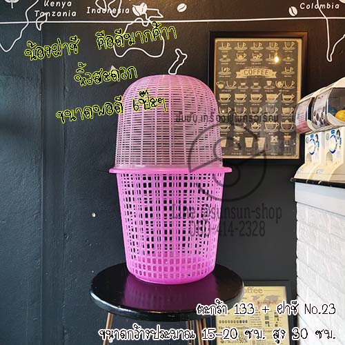 ตะกร้าใส่ต้นไม้