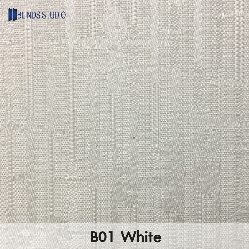 B01 White
