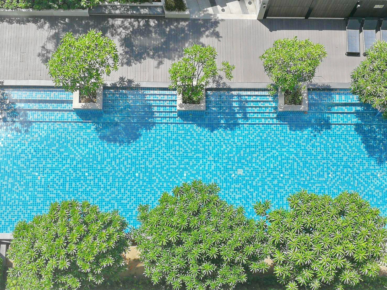 ให้เช่า The Parkland Lite สุขุมวิท-ปากน้ำ
