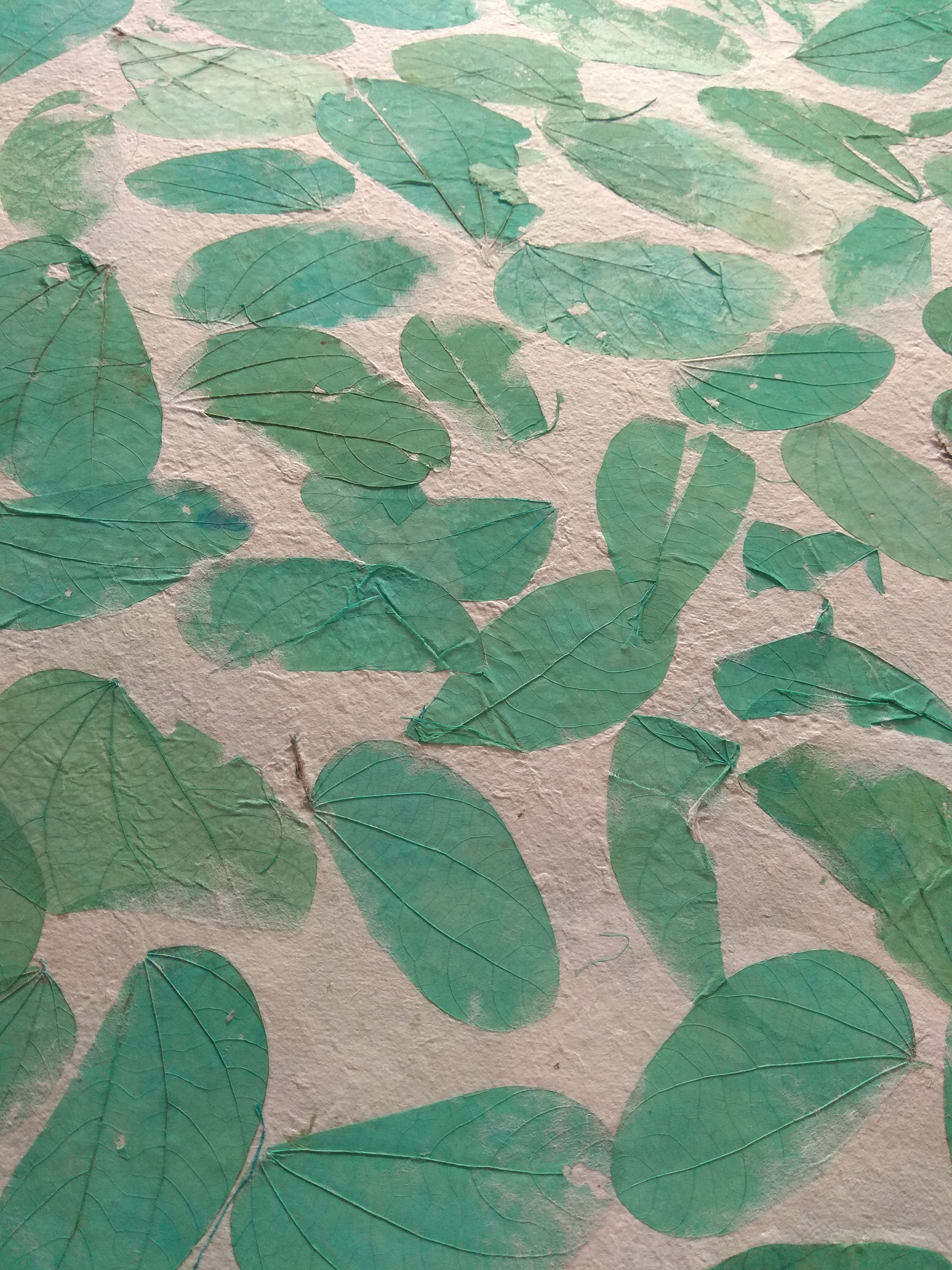 กะดาษสา ใส่ใบไม้ มีทุกสี