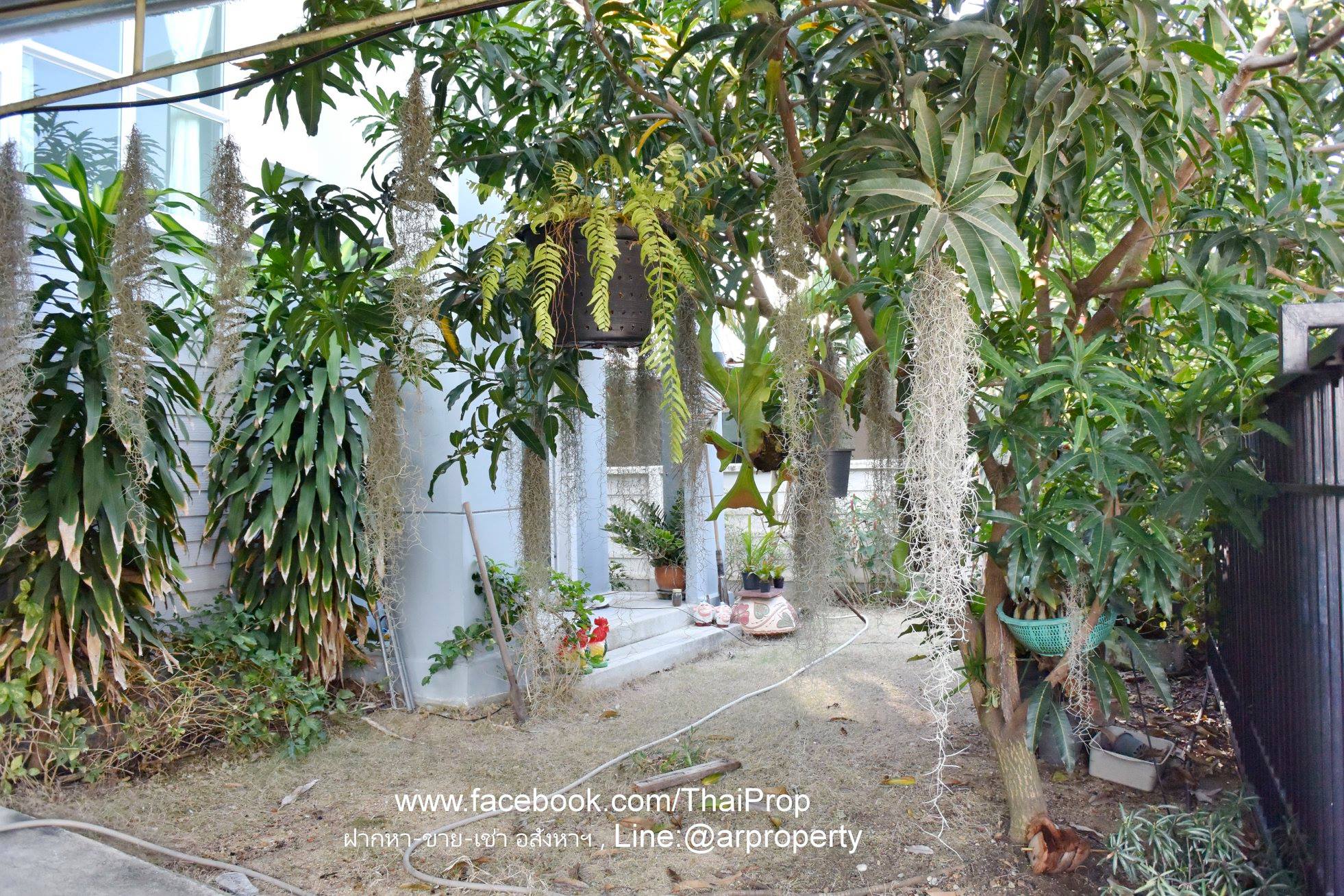 พฤกษาวิลเลจ 30 เดอะซีซั่นแจ้งวัฒนะ