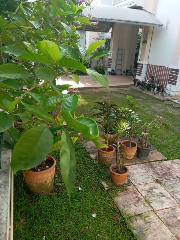 บ้านเดี่ยว ให้เช่า ม.บุรีรมย์ ซ.วัดพระเงิน
