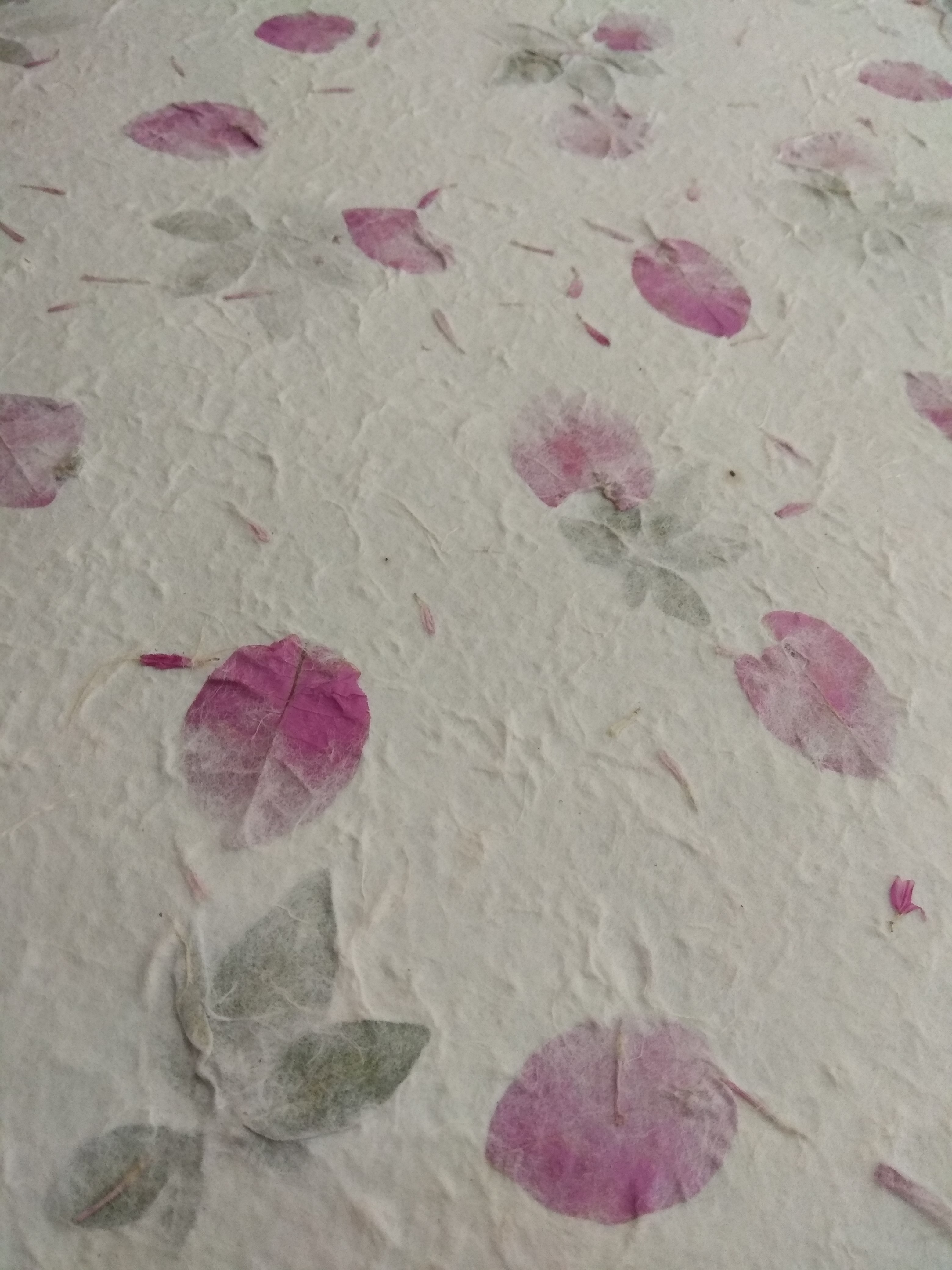 Dried Fiber Mulberry Paper Pressed Natural Leaves and FLowers Handmade for scrapbooking, flower making, card making, invitation