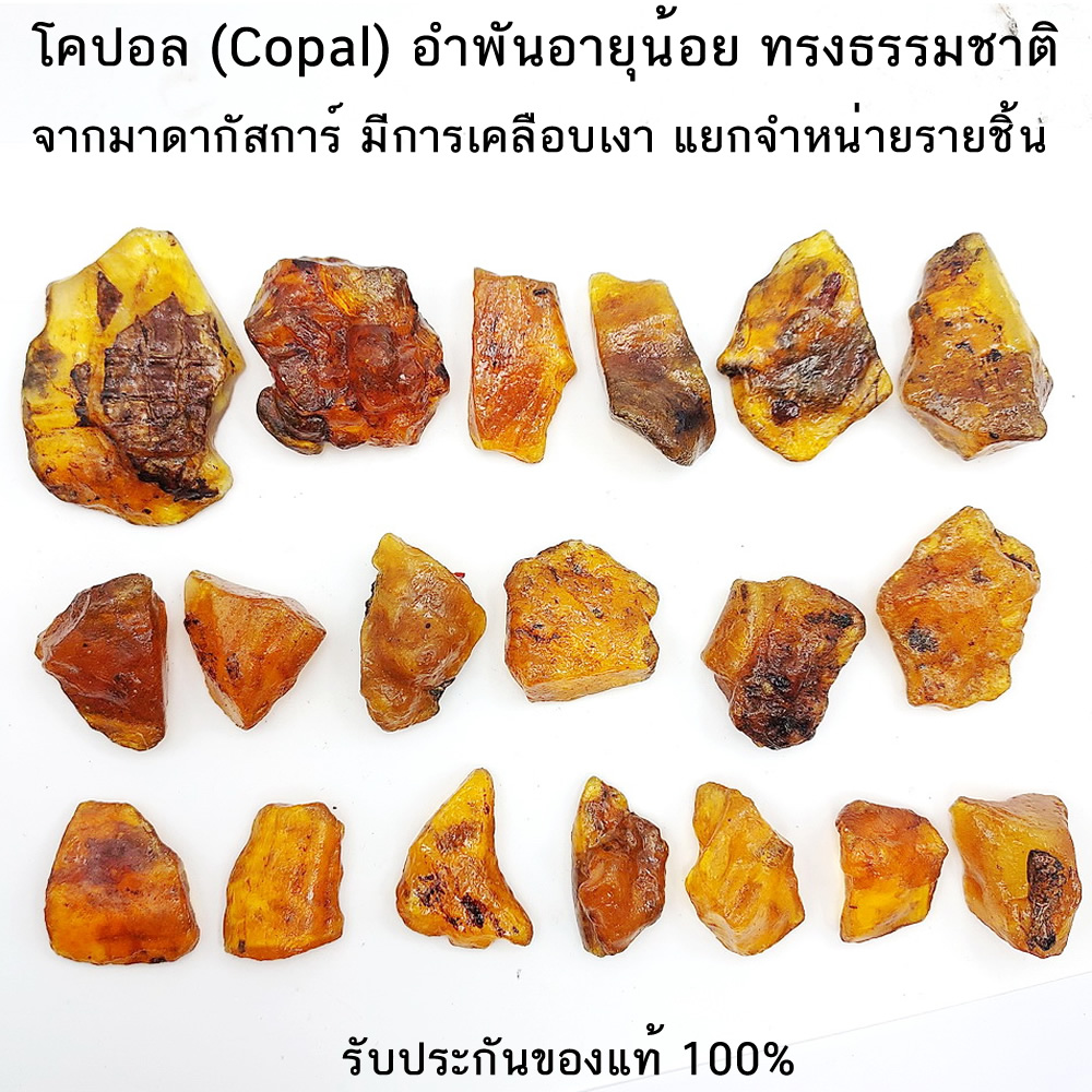 โคปอลทรงธรรมชาติ(COPAL) อำพันอายุน้อยธรรมชาติ จากมาดากัสการ์ (เลือกได้)