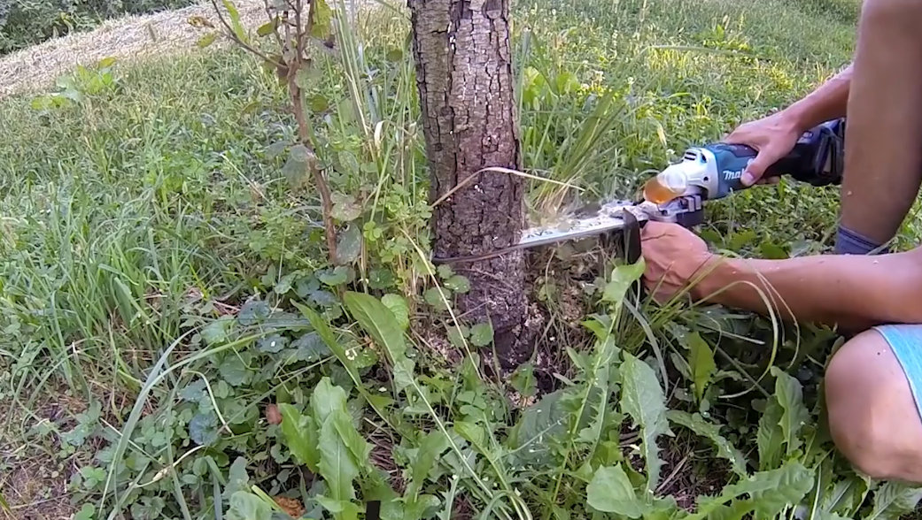 CHIANSAW บาร์โซ่หินเจียร์ ตัดไม้ได้หนาสุด 8 นิ้ว