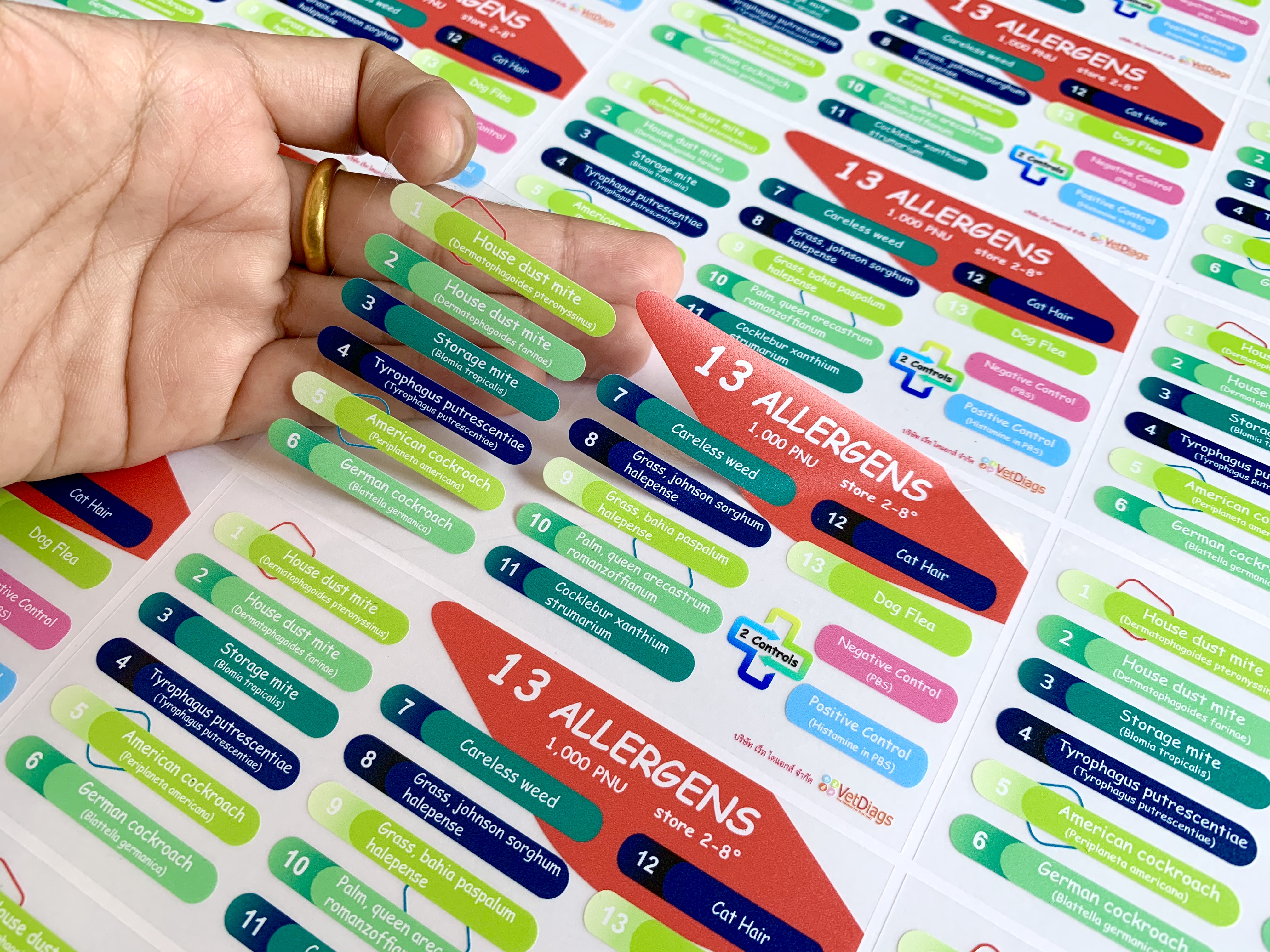 สติ๊กเกอร์ใสรองพื้นหมึกขาว หมึกขาว พิมพ์หมึกขาว