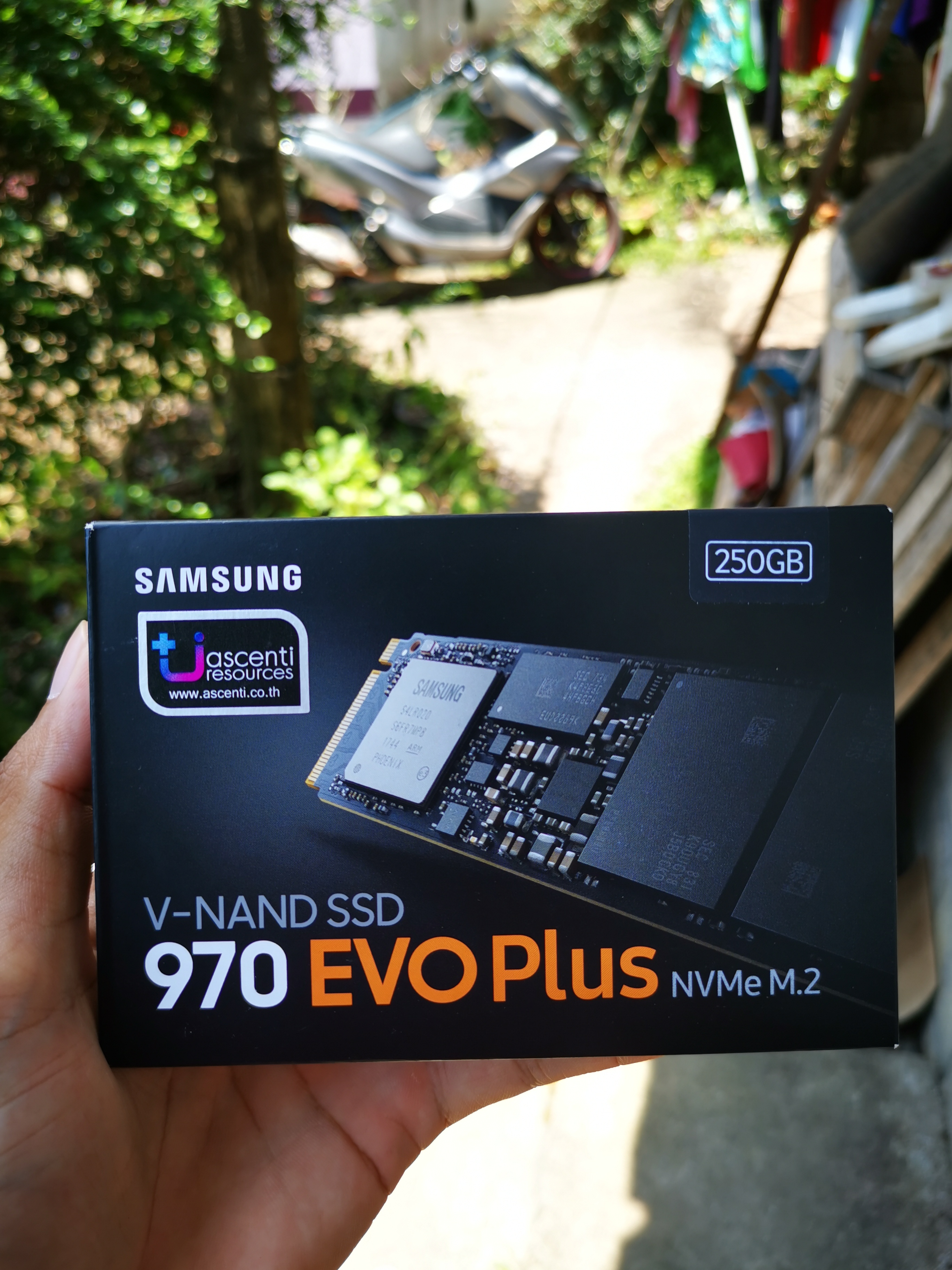 SSD M.2 NVMe Samsung 970 EVO Plus 250 GB