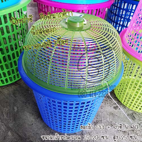 ตะกร้าใส่ต้นไม้