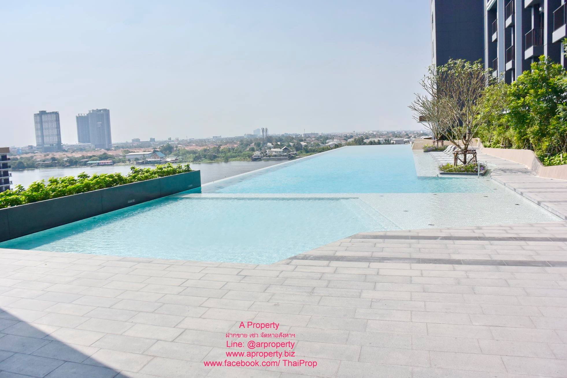 The Politan Aqua