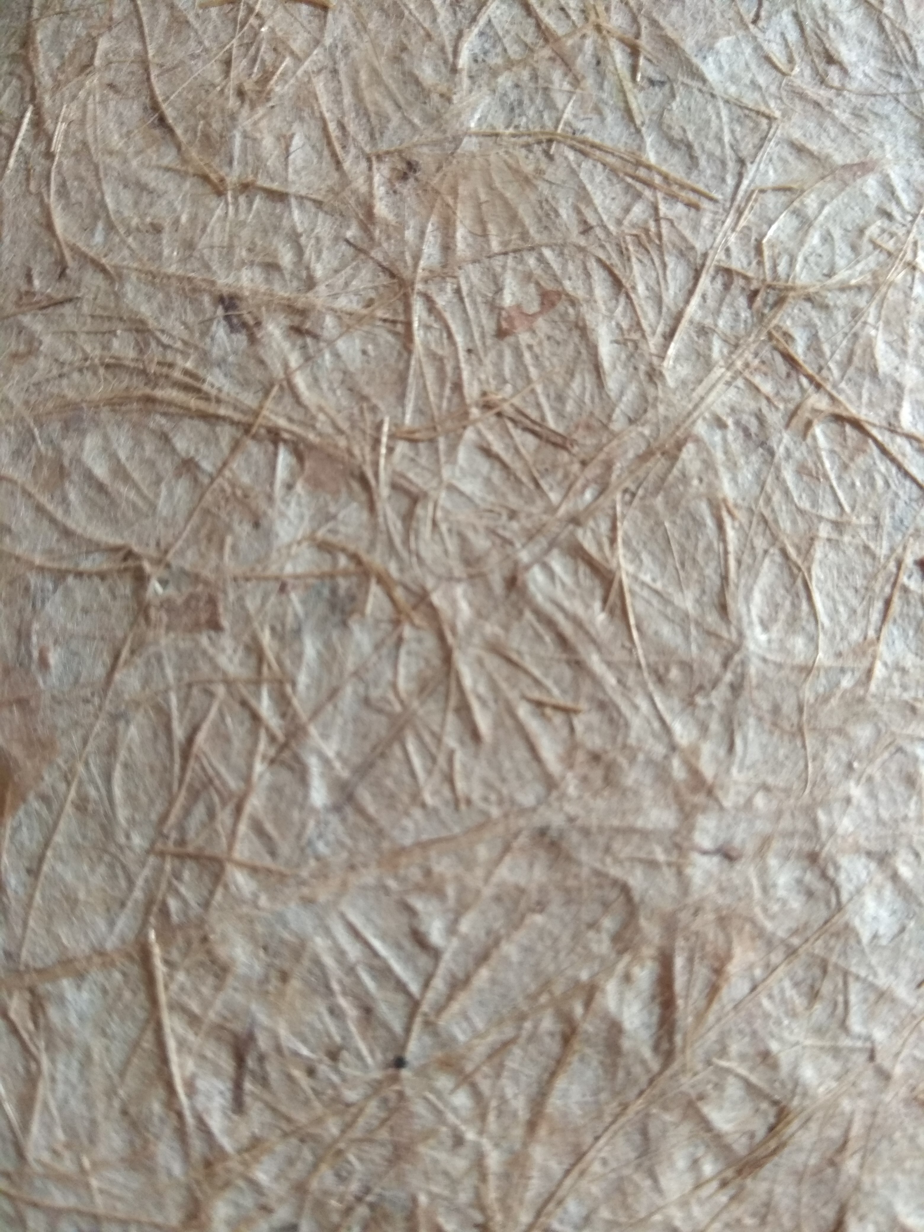 กระดาษใยกล้วย แก่ เส้นใยจะนูนๆกว่ากล้วยเหลือง สำเนา