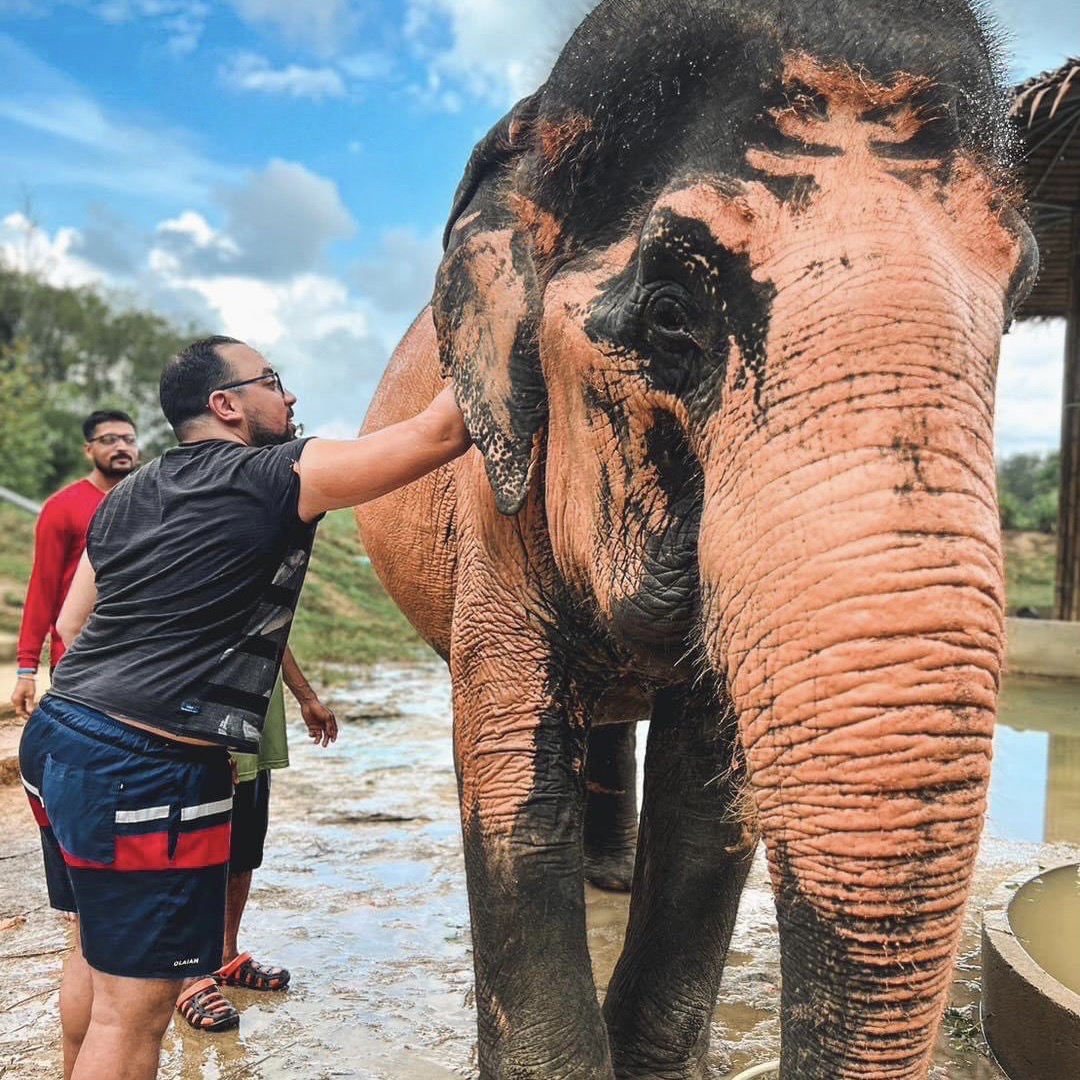Elephant Sanctuary 1 Day Explore 6 Hrs.