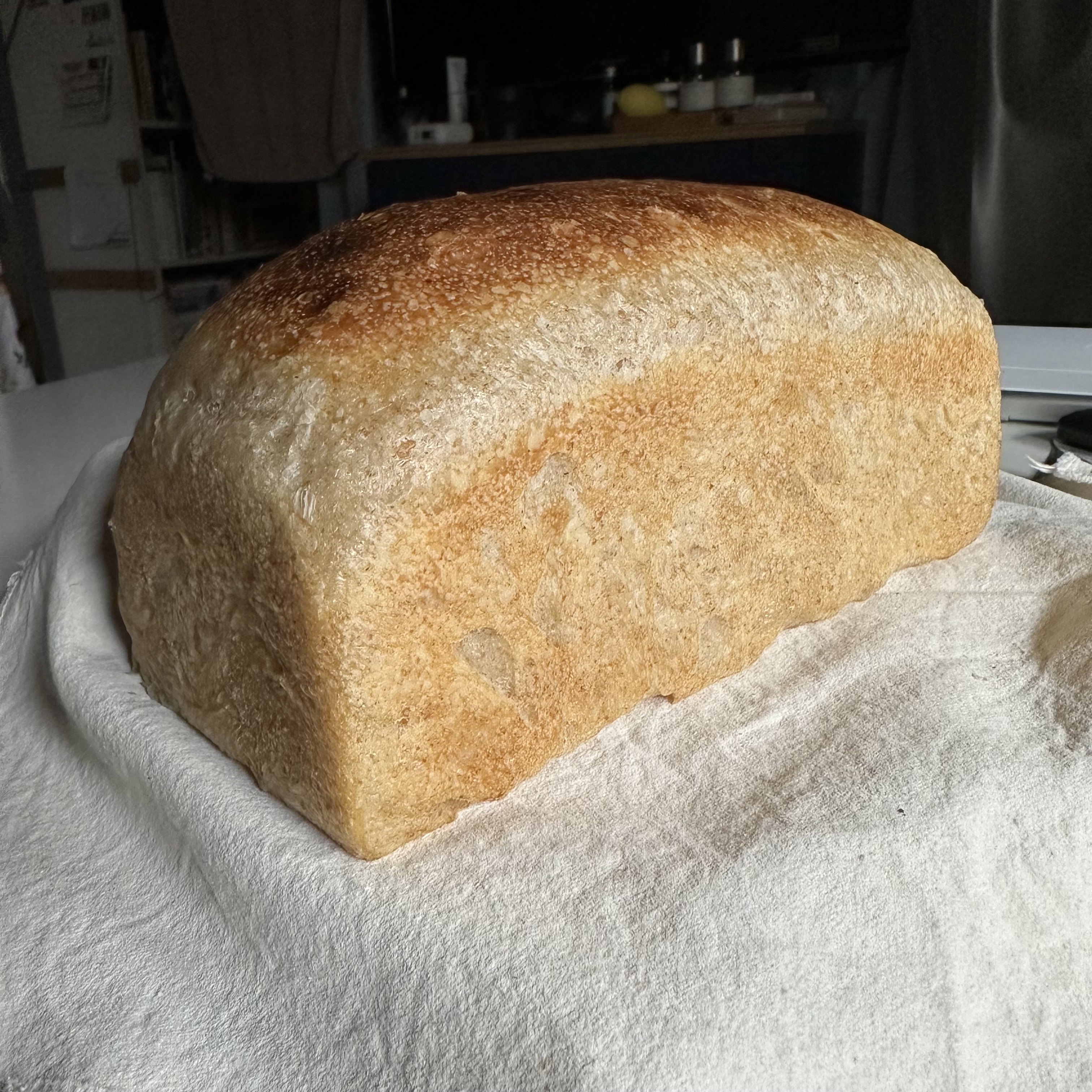 Whole Wheat Soft Toast Sourdough (Vegan, 15% Whole Wheat)