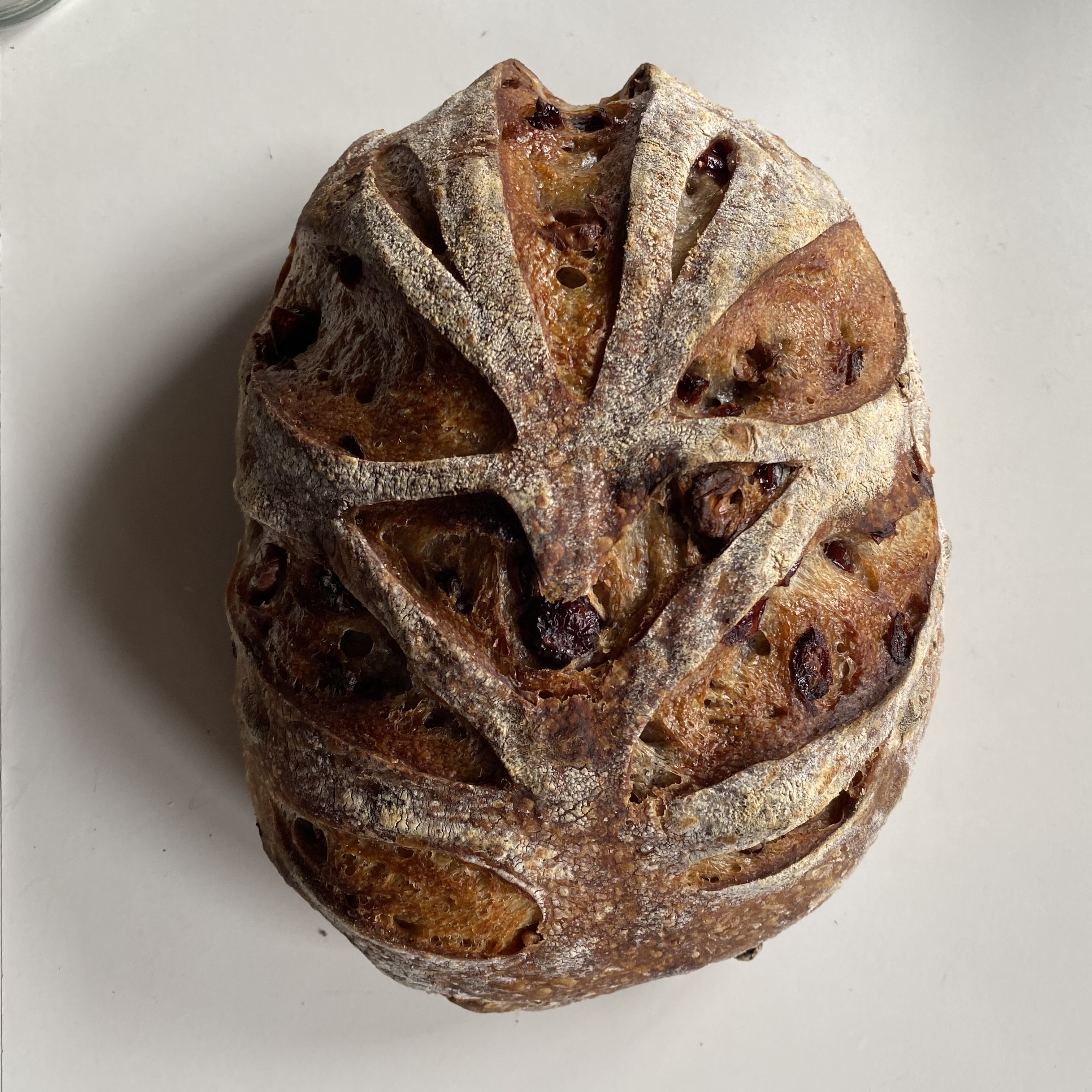 Ⓥ Walnut Cranberry Sourdough (16% Whole Wheat) Loaf