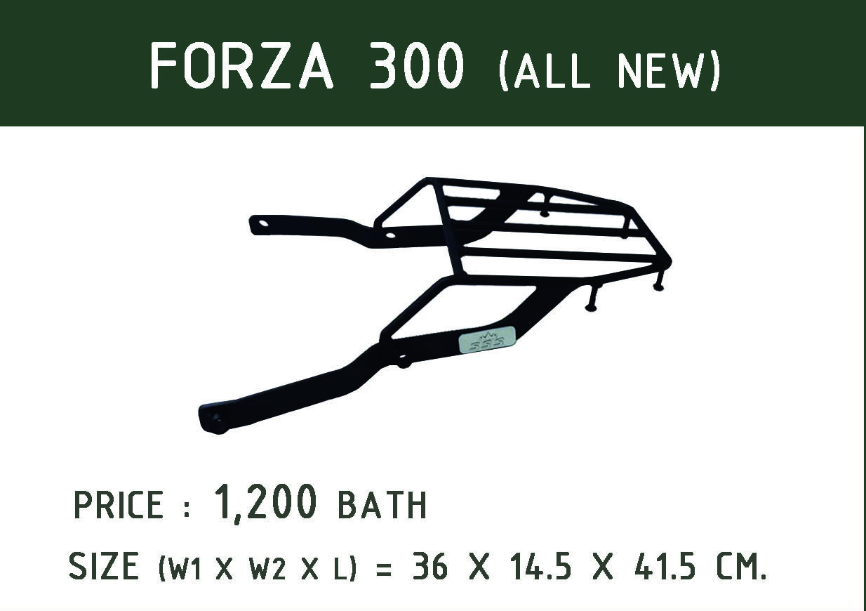 แร็คท้ายมอเตอร์ไซค์ Forza 300 All New