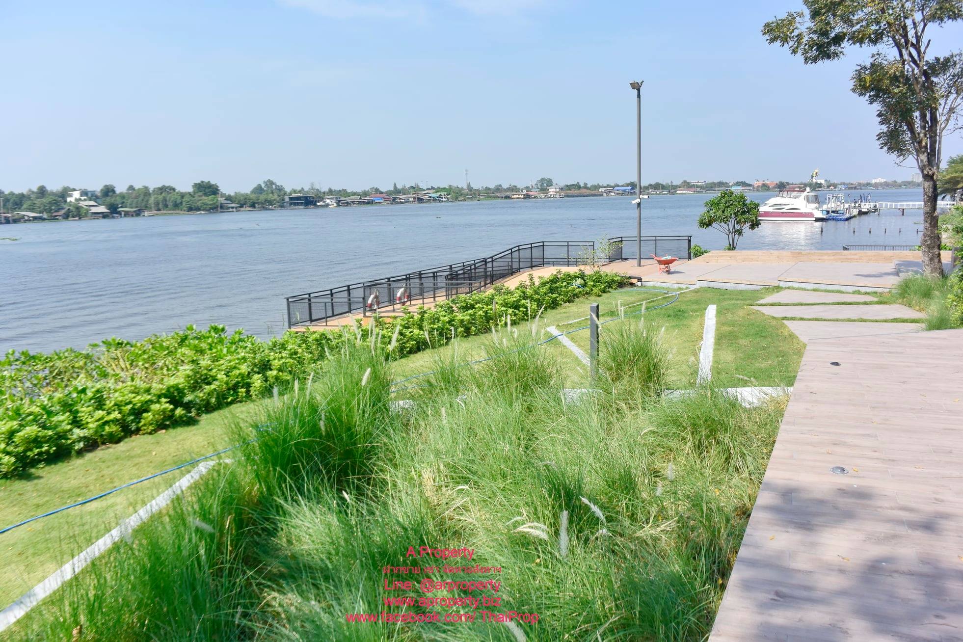The Politan Aqua