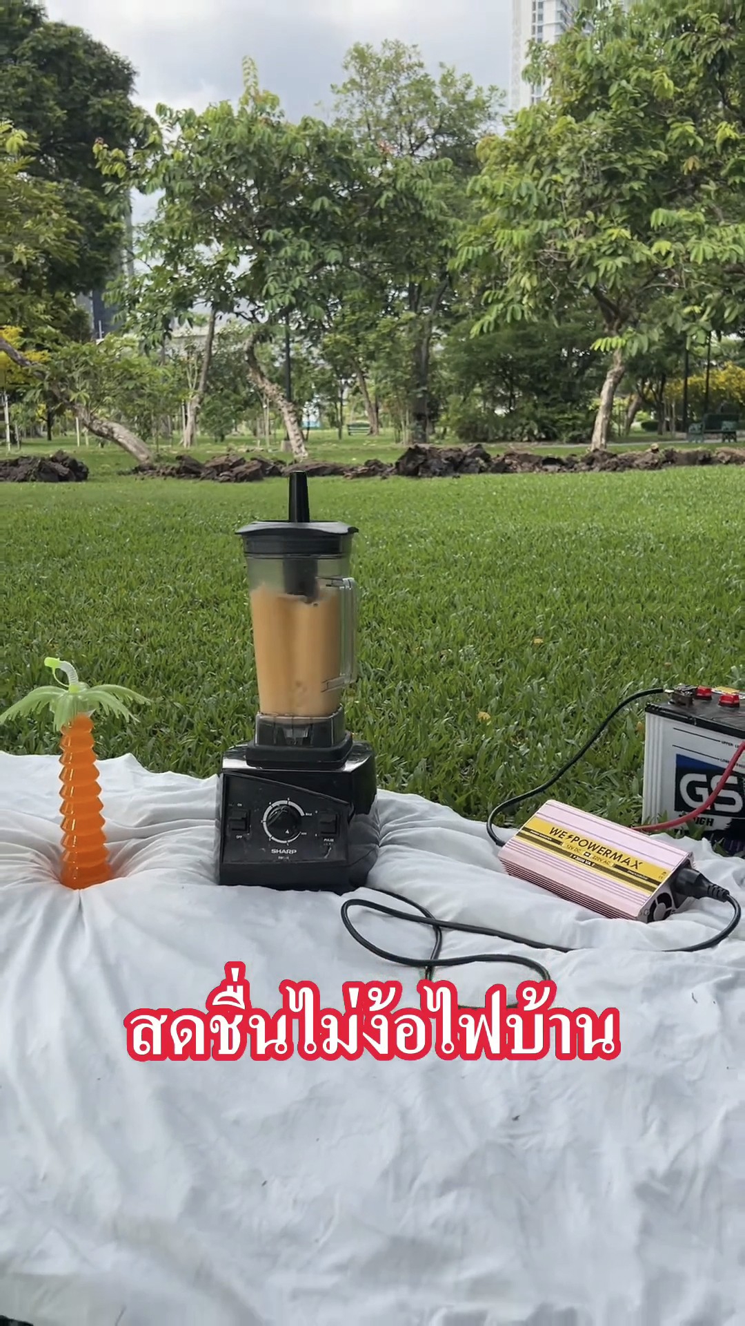 อินเวอร์เตอร์ แปลงไฟ 12V เป็น 220V ขนาด 3,000 วัตต์ ยี่ห้อ WE POWER MAX