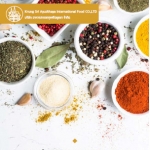 Download E-catalogue