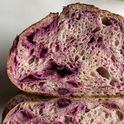 Ⓥ Purple Potato Sourdough (ปังมันม่วง)