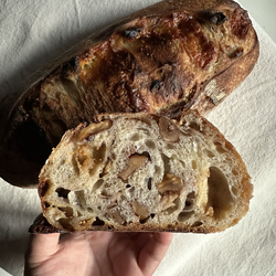 Fig Cheddar Walnut Sourdough loaf (16% Whole Grain)