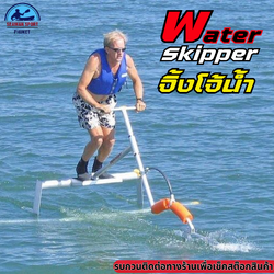 Water Skipper / นกน้ำ / จิ้งโจ้น้ำ