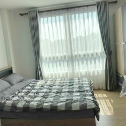 ขายเดอะนิช ไอดี เสรีไทย (The Niche id Serithai)