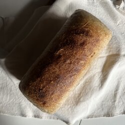 Whole Wheat Soft Toast Sourdough (Vegan, 15% Whole Wheat)