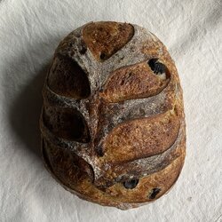 Ⓥ Olive & Rosemary Sourdough (16% Whole Wheat, Vegan)