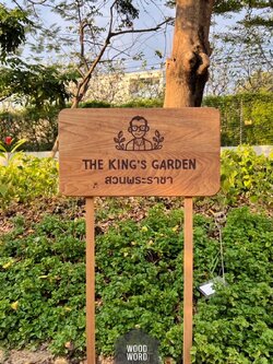 ป้ายปักดิน • ไม้สัก