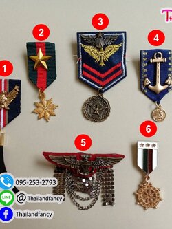 อุปกรณ์แฟนซี ตัวติดเสื้ออาชีพ ยศติดเสื้อ แถบติดเสื้อแฟนซี เข็มกลัดแฟนซี เข็มกลัดยศติดเสื้อ