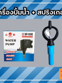 ปั้มน้ำ + สปริงเกอร์