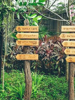 ป้ายบอกทาง เลเซอร์ไม้