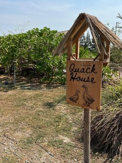 ป้ายไม้โอ๊ค