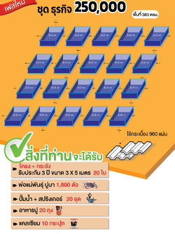 ชุดธุรกิจ 250,000 บาท สำหรับสัญญาเฟสใหม่ 250/Kg