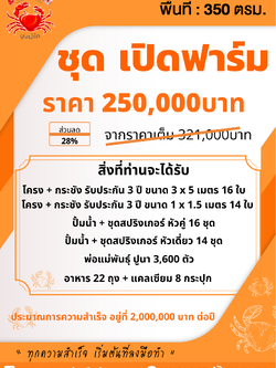 ชุดธุรกิจ 250,000 บาท สำหรับ สัญญาเฟสเก่า 100/Kg