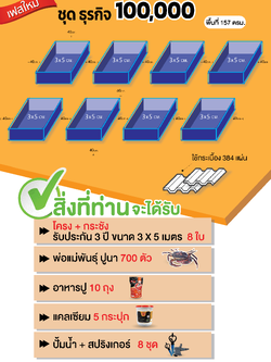 ชุดธุรกิจ 100,000 บาท สำหรับสัญญาเฟสใหม่ 250/Kg