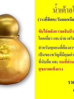 น้ำเต้าอโรคา ไซส์ใหญ่ จัมโบ้