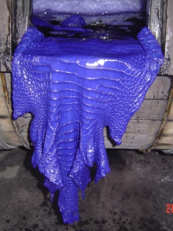 Crocodile leather skins จำหน่ายหนังจระเข้แท้ เป็นผืน พร้อมย้อมสีตามที่ต้องการ