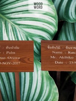 ป้ายชื่อต้นไม้ 2 ขาตั้ง
