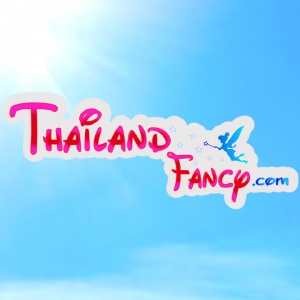 ร้านThailandfancy