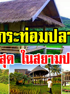 กระท่อมเถียงนา25แบบสวรรค์บนดิน ที่คนเมืองโคตรอิจฉา