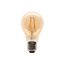 HI-TEK หลอดไฟ LED G80 กระจกทอง 4 วัตต์